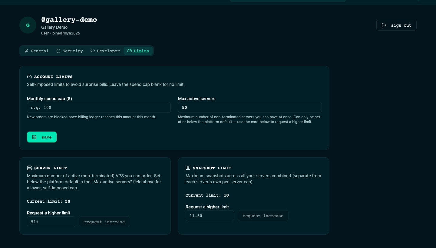 bashrack profile limits tab with a monthly spend cap, maximum active servers, and a server limit card.